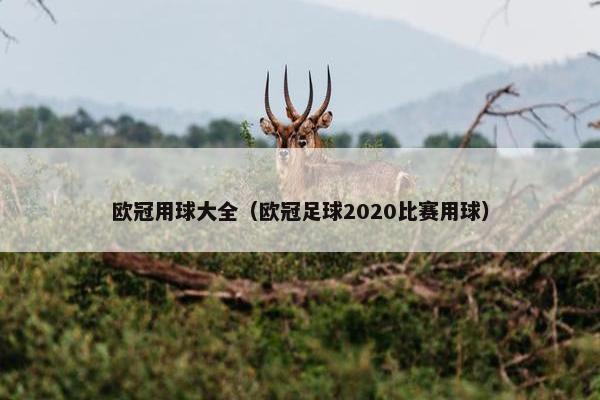 欧冠用球大全（欧冠足球2020比赛用球）