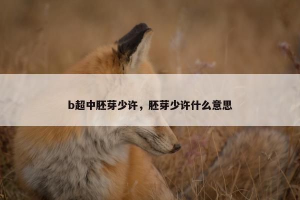 b超中胚芽少许，胚芽少许什么意思
