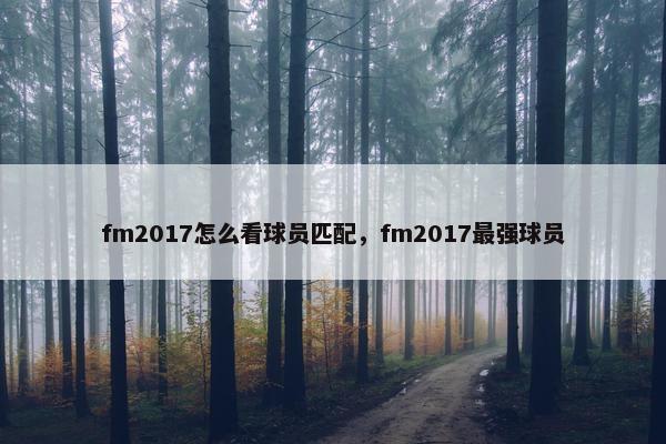 fm2017怎么看球员匹配，fm2017最强球员