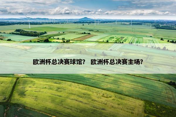 欧洲杯总决赛球馆？ 欧洲杯总决赛主场？