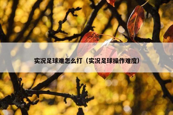 实况足球难怎么打（实况足球操作难度）