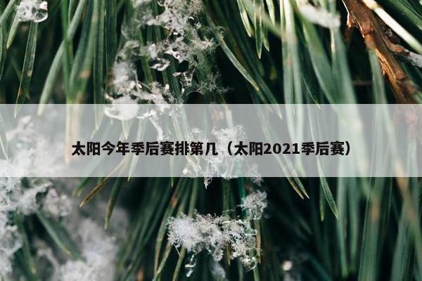 太阳今年季后赛排第几（太阳2021季后赛）