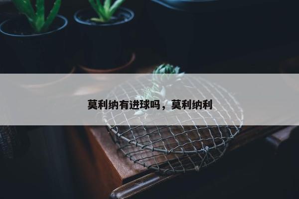 莫利纳有进球吗，莫利纳利