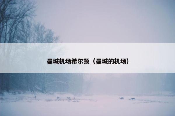曼城机场希尔顿（曼城的机场）