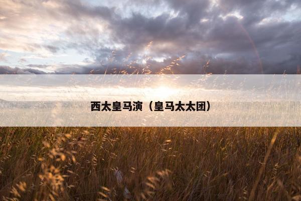 西太皇马演（皇马太太团）