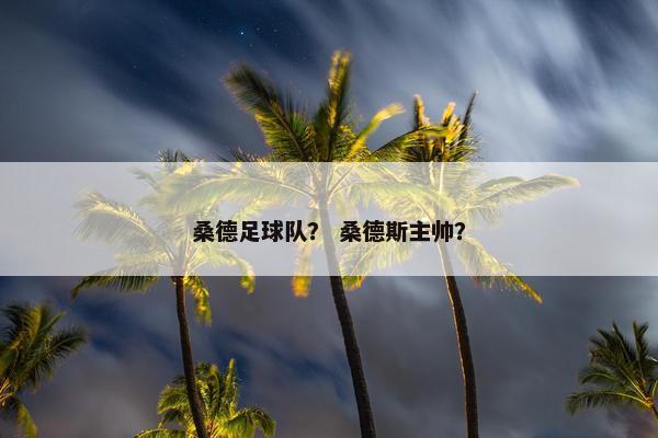 桑德足球队？ 桑德斯主帅？