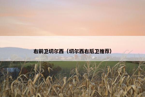 右前卫切尔西（切尔西右后卫推荐）