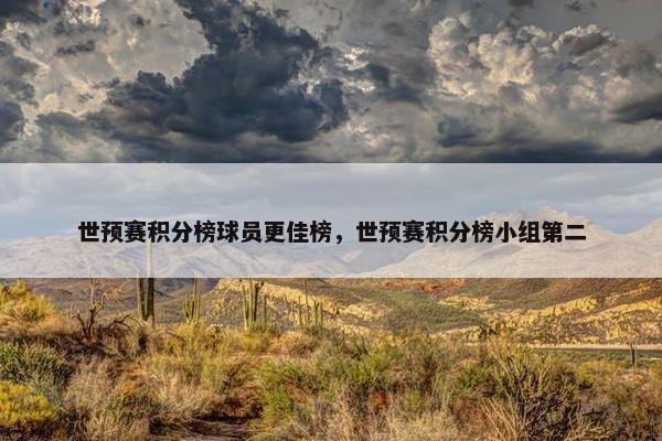 世预赛积分榜球员更佳榜，世预赛积分榜小组第二