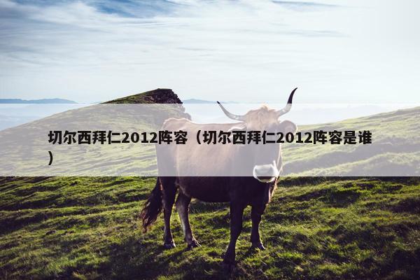 切尔西拜仁2012阵容（切尔西拜仁2012阵容是谁）