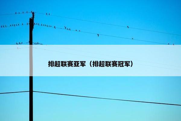 排超联赛亚军（排超联赛冠军）