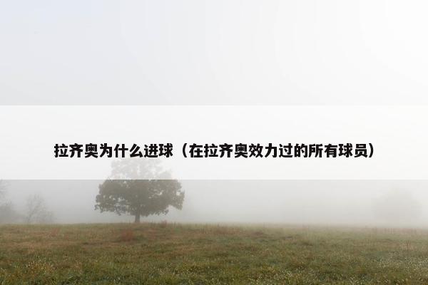 拉齐奥为什么进球（在拉齐奥效力过的所有球员）