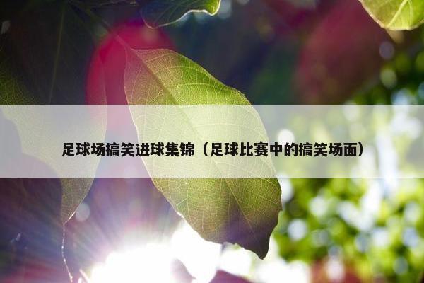 足球场搞笑进球集锦（足球比赛中的搞笑场面）