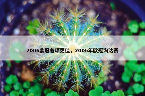 2006欧冠各项更佳，2006年欧冠淘汰赛