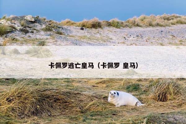 卡佩罗逃亡皇马（卡佩罗 皇马）