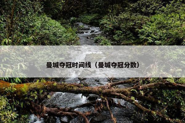 曼城夺冠时间线（曼城夺冠分数）