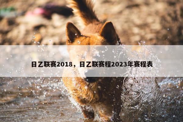 日乙联赛2018，日乙联赛程2023年赛程表
