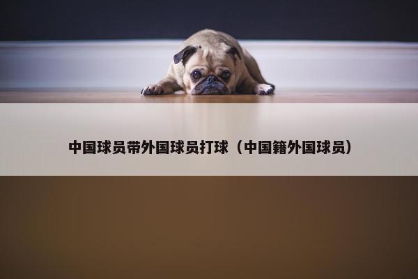 中国球员带外国球员打球（中国籍外国球员）