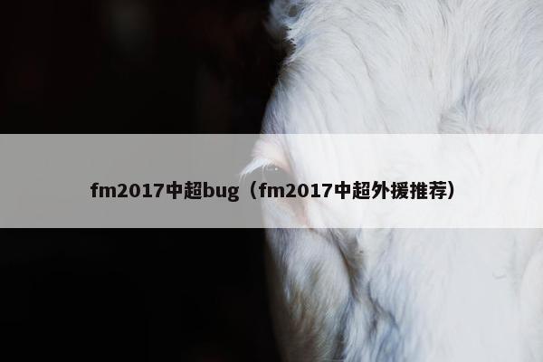 fm2017中超bug（fm2017中超外援推荐）