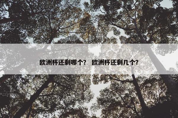 欧洲杯还剩哪个？ 欧洲杯还剩几个？