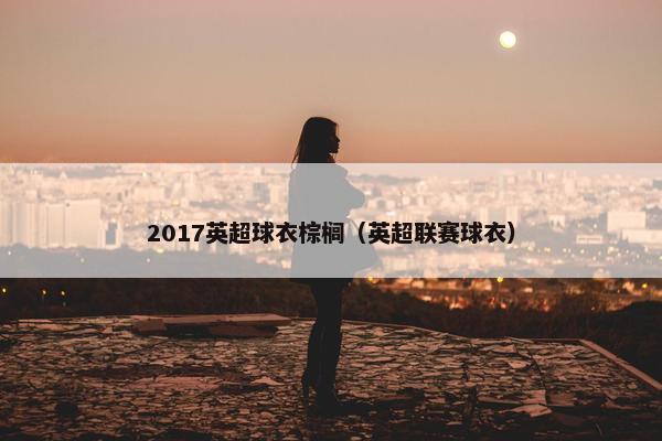 2017英超球衣棕榈（英超联赛球衣）