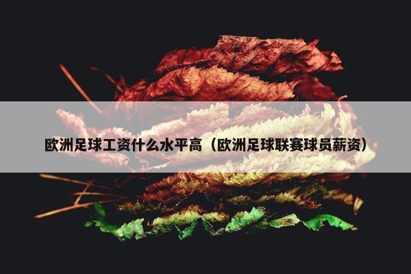 欧洲足球工资什么水平高（欧洲足球联赛球员薪资）
