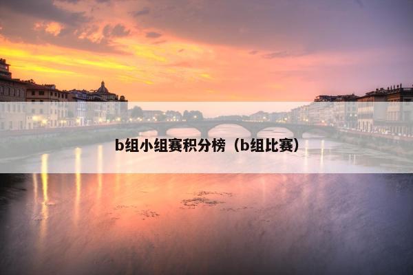 b组小组赛积分榜（b组比赛）