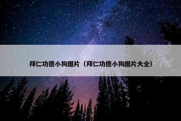 拜仁功德小狗图片（拜仁功德小狗图片大全）