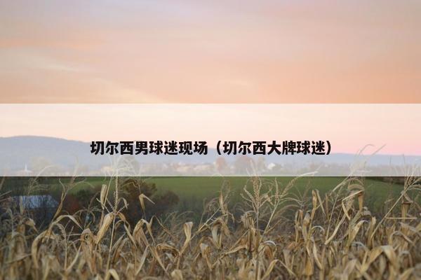 切尔西男球迷现场（切尔西大牌球迷）