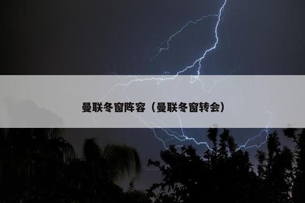 曼联冬窗阵容（曼联冬窗转会）