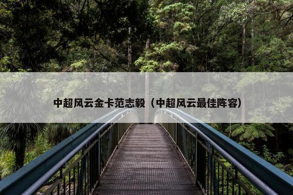 中超风云金卡范志毅（中超风云最佳阵容）