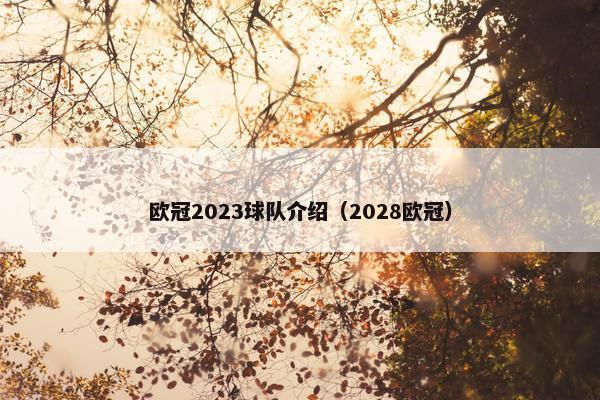 欧冠2023球队介绍（2028欧冠）