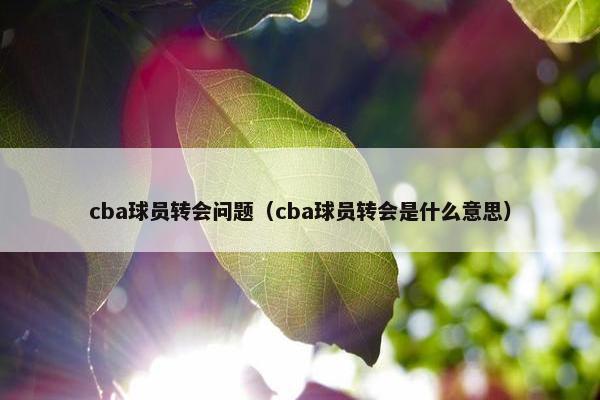 cba球员转会问题（cba球员转会是什么意思）