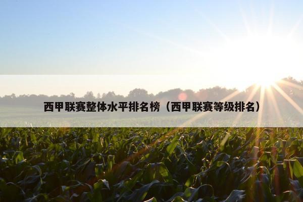 西甲联赛整体水平排名榜（西甲联赛等级排名）