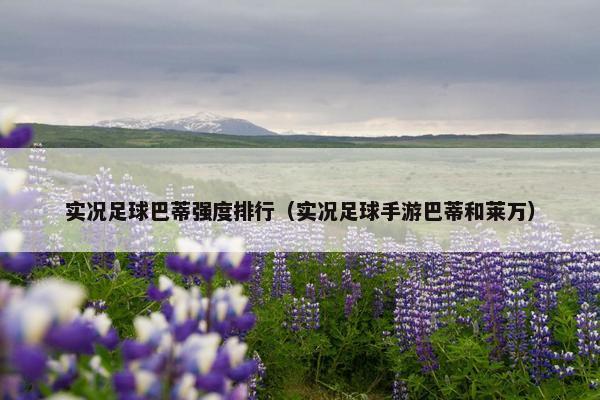 实况足球巴蒂强度排行（实况足球手游巴蒂和莱万）