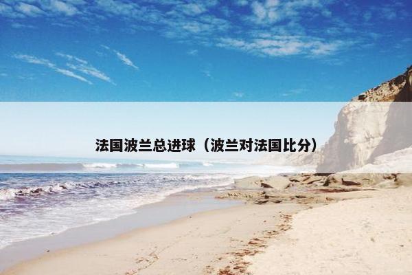 法国波兰总进球（波兰对法国比分）
