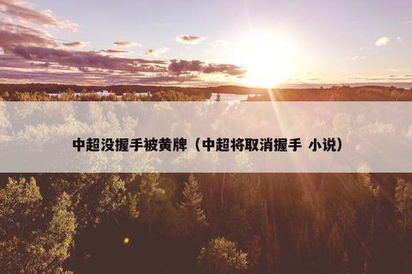 中超没握手被黄牌（中超将取消握手 小说）