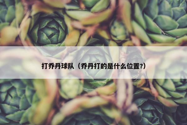 打乔丹球队（乔丹打的是什么位置?）