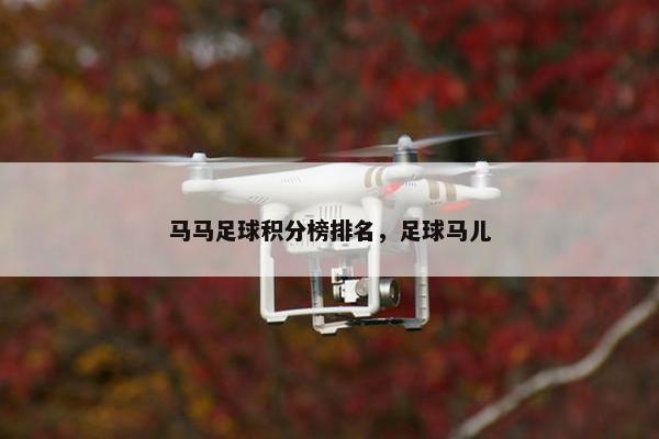 马马足球积分榜排名，足球马儿