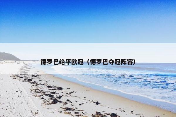 德罗巴绝平欧冠（德罗巴夺冠阵容）