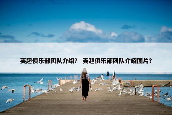 英超俱乐部团队介绍？ 英超俱乐部团队介绍图片？