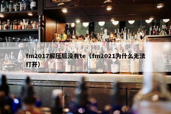 fm2017解压后没有te（fm2021为什么无法打开）