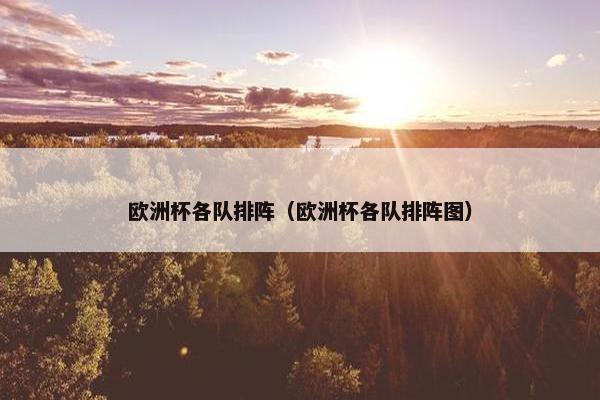 欧洲杯各队排阵（欧洲杯各队排阵图）