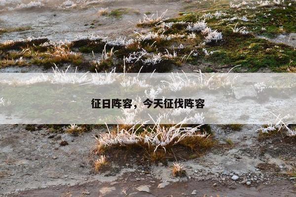 征日阵容，今天征伐阵容