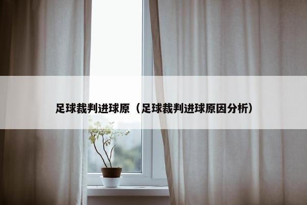 足球裁判进球原（足球裁判进球原因分析）
