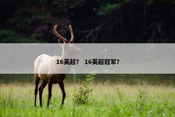 16英超？ 16英超冠军？