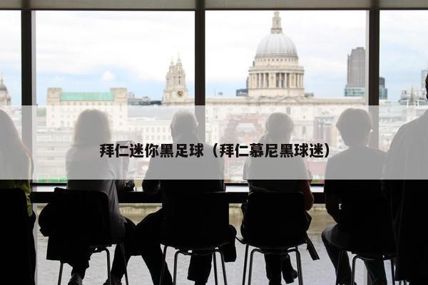 拜仁迷你黑足球（拜仁慕尼黑球迷）