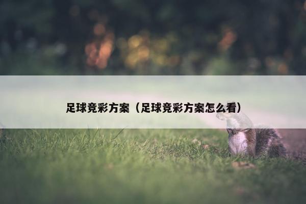 足球竞彩方案（足球竞彩方案怎么看）