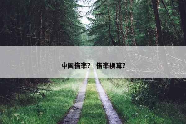 中国倍率？ 倍率换算？