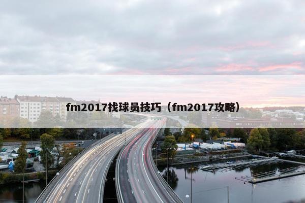 fm2017找球员技巧（fm2017攻略）