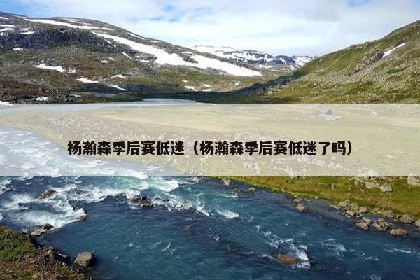 杨瀚森季后赛低迷（杨瀚森季后赛低迷了吗）